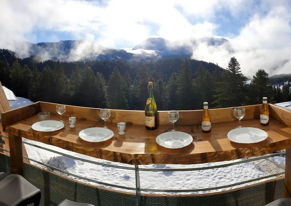 Apartment Exceptionnel Appart 3 Chambres+ Terrasse Chamrousse